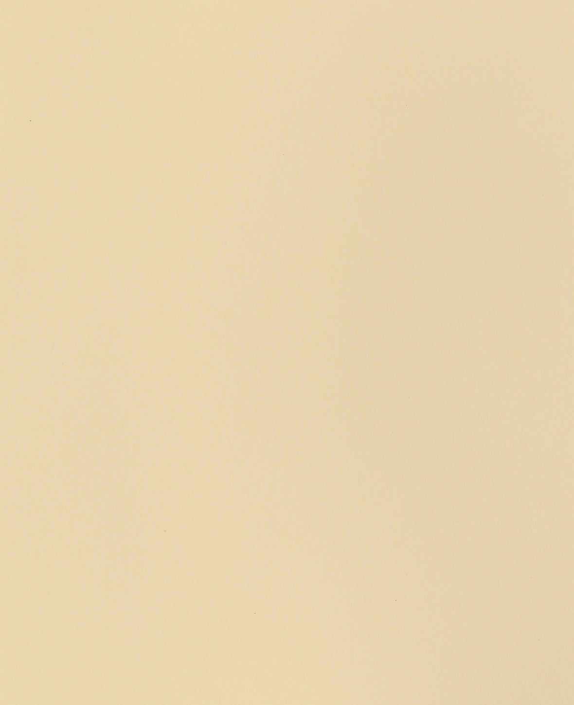 I AM CREATIVE Fotokarton A4 2903018303 270g, creme