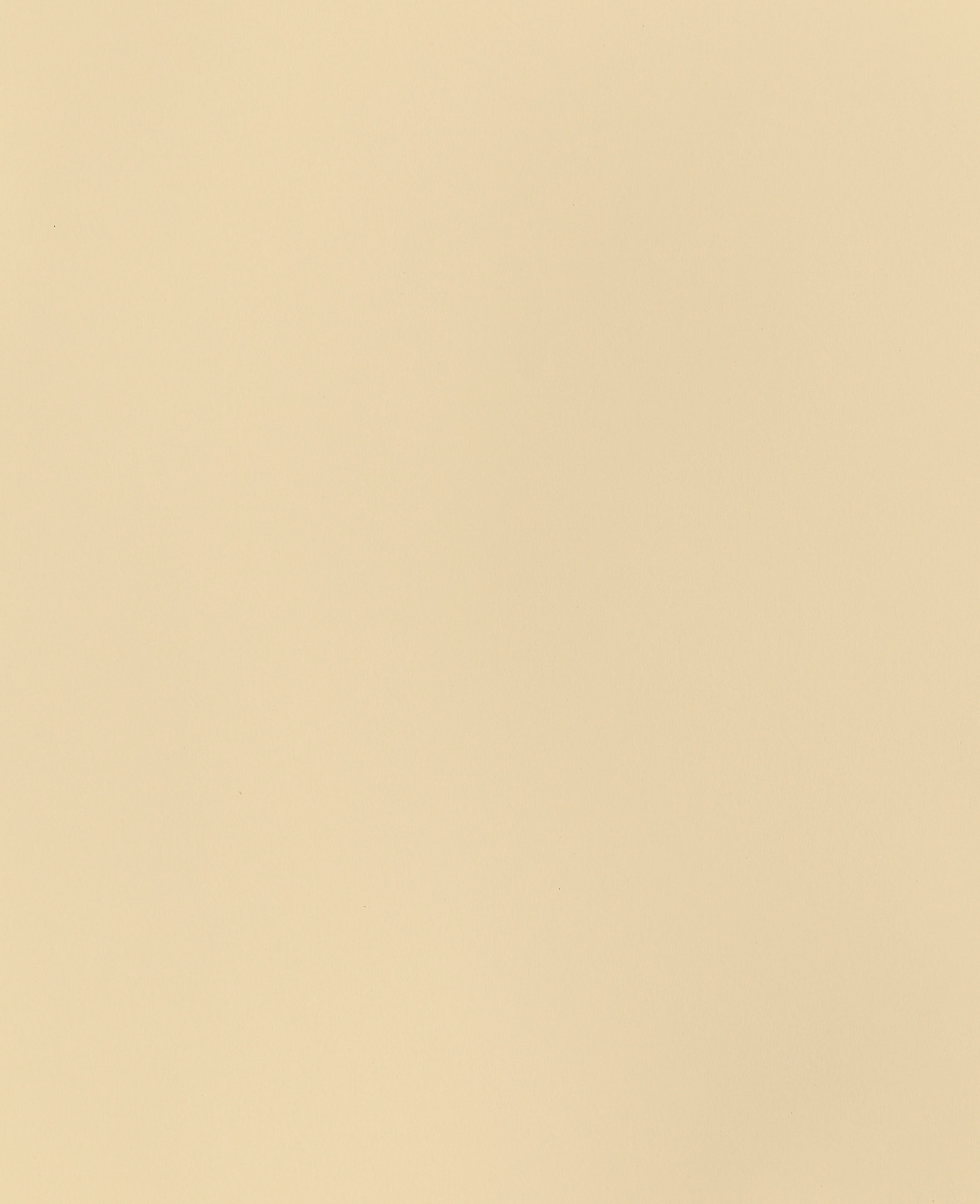 I AM CREATIVE Fotokarton 50x70cm 2902498303 270g, creme