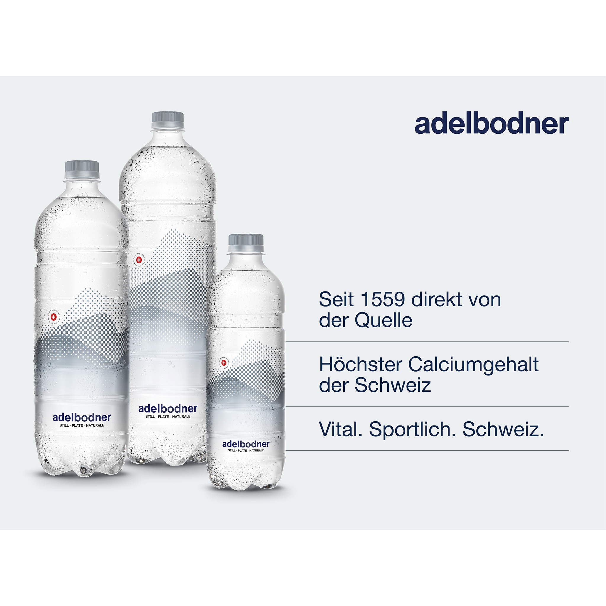 ADELBODNER ohne Kohlensäure 180062 50 cl, 24 Stk.