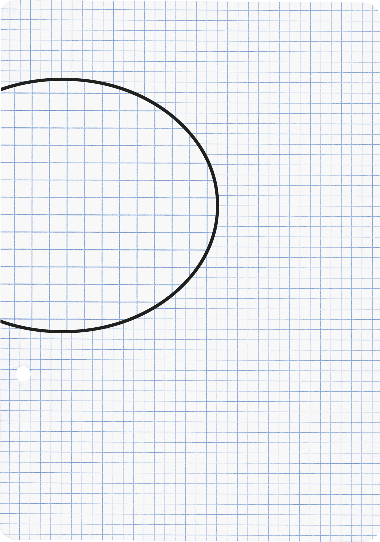 BIELLA Einlageblätter A5 45052400U weiss,kar. 4mm,2-Loch 100Bl.