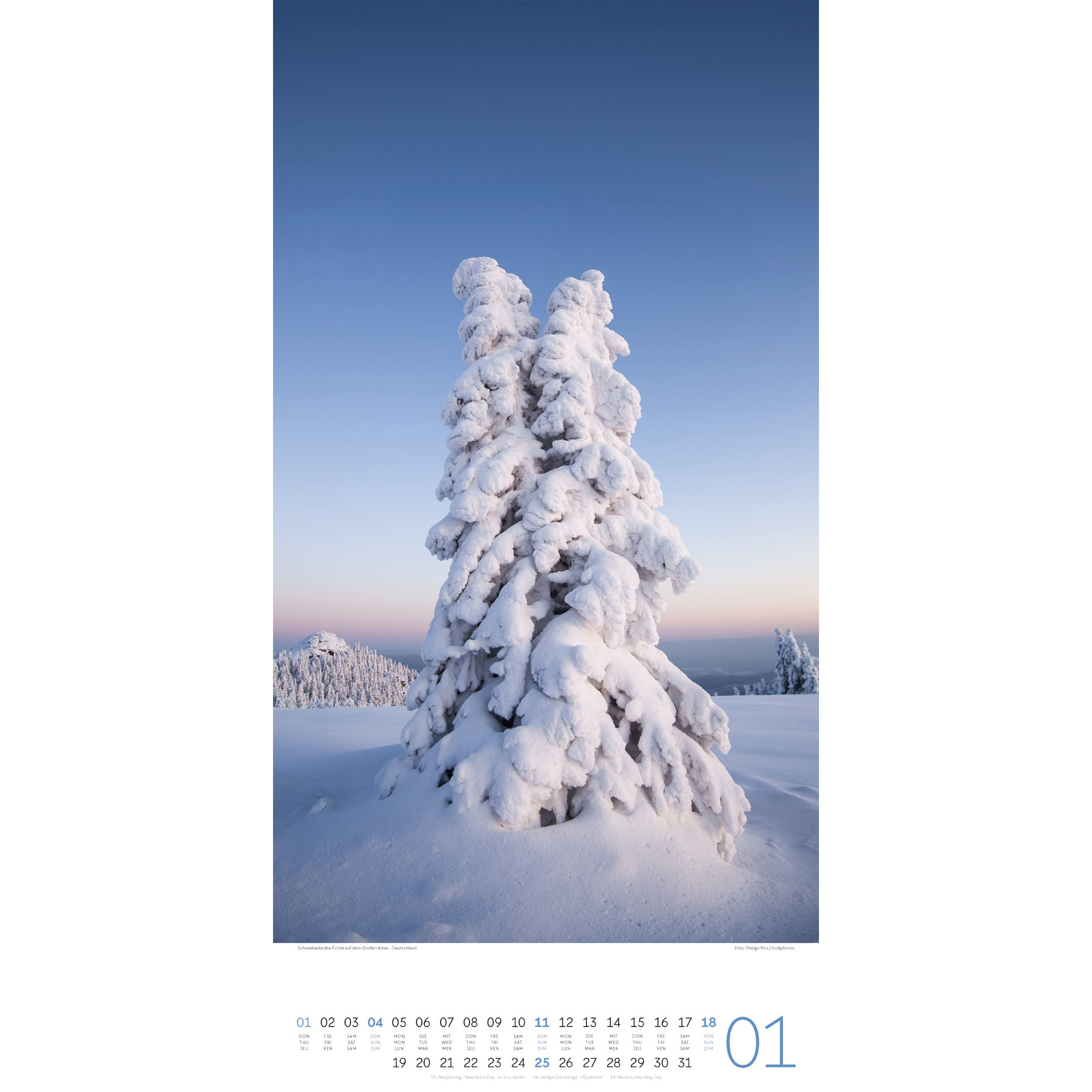 ACKERMANN Bildkalender 2026 2620 Bäume ML 33x66cm