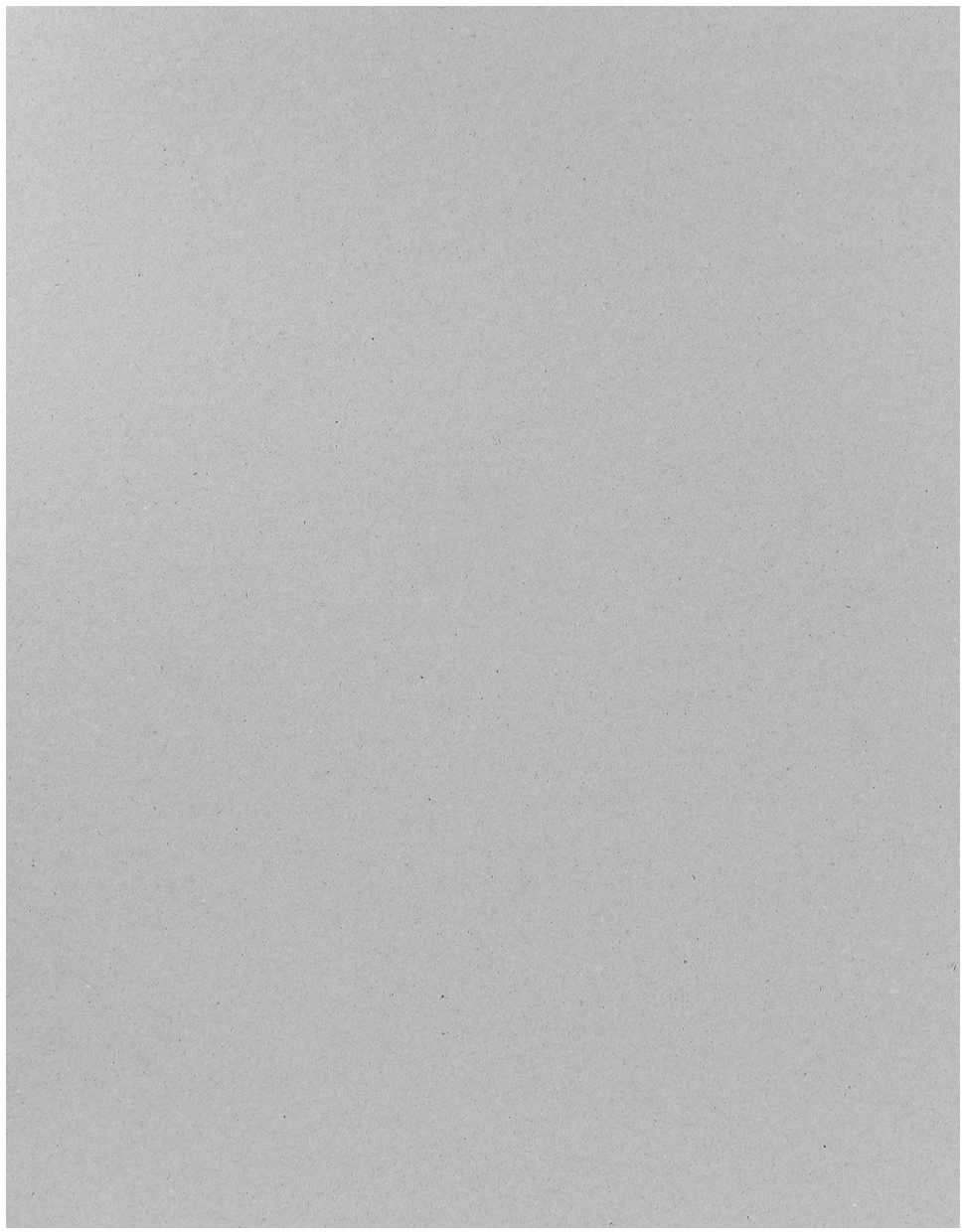 I AM CREATIVE Graukarton 50x70cm 81000.01 1.0mm