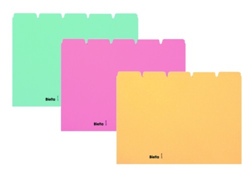 BIELLA Kartei-Leitkarten blanko A5 21055505U blau 25-teilig