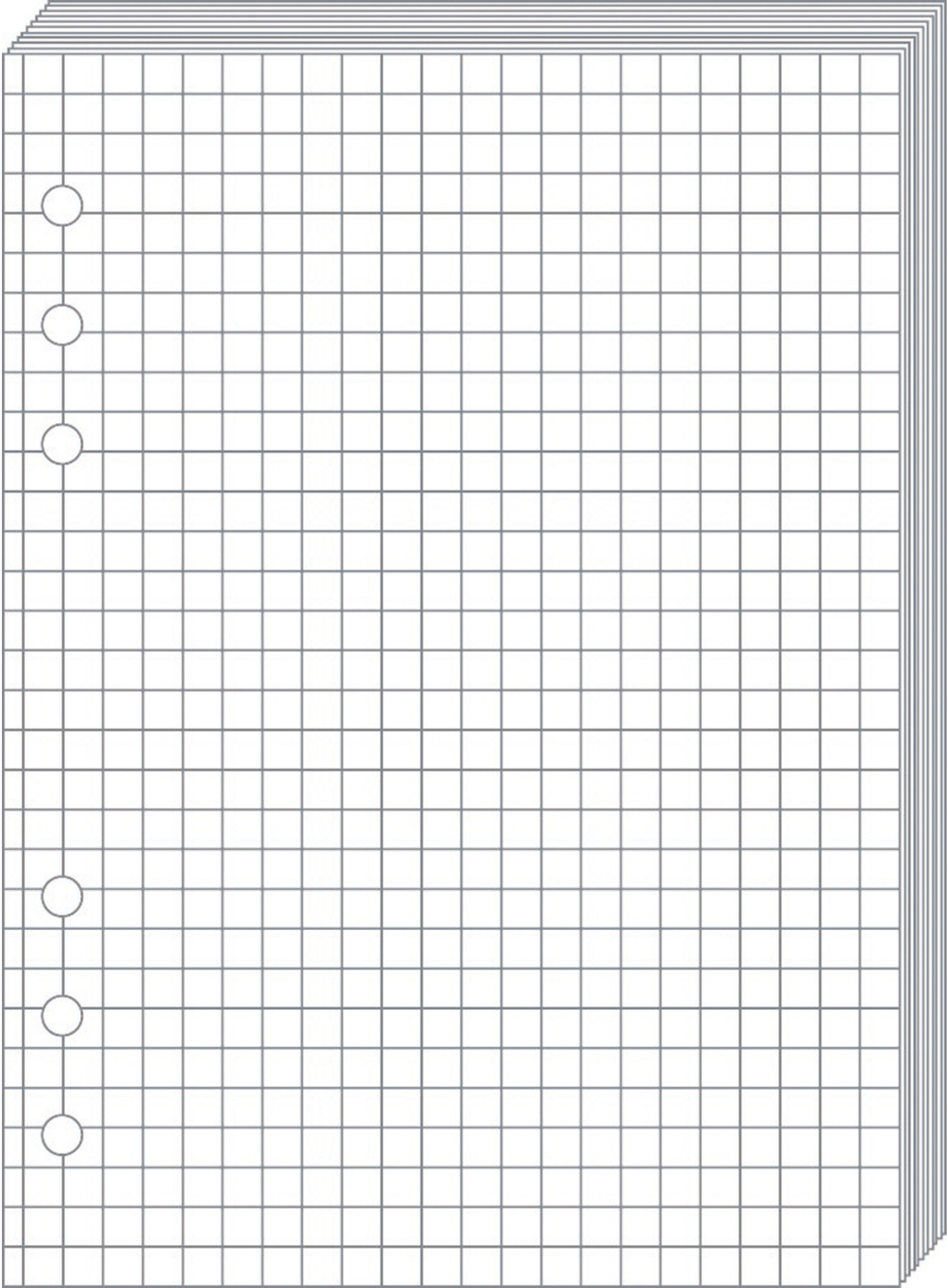 QUO-VADIS Timer21 Planing Notizen 722001Q kariert 15x21cm