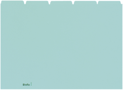 BIELLA Kartei-Leitkarten blanko A4 21045505U blau 25-teilig