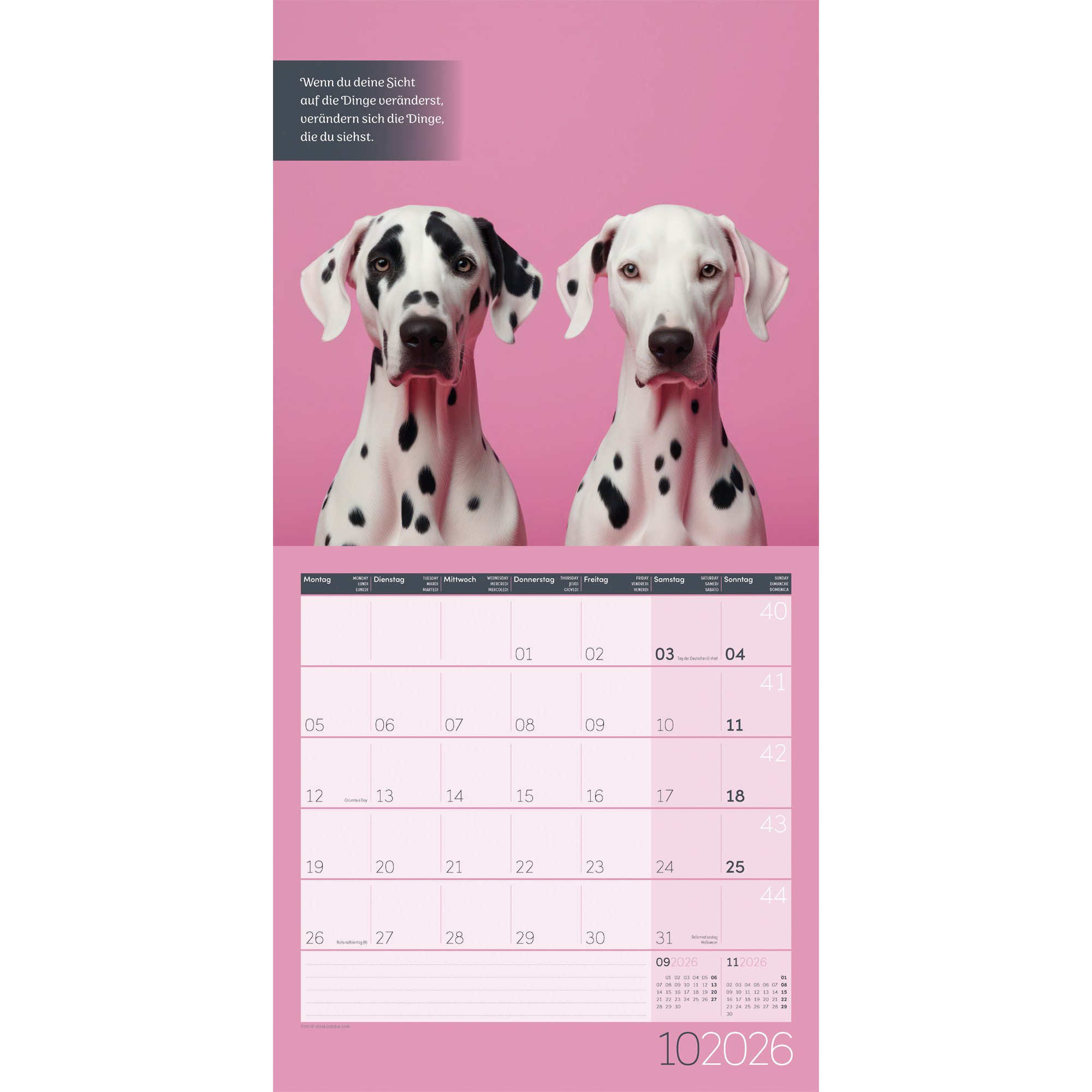 ACKERMANN Bildkalender 2026 4633 Alles wird gut ML 30x30cm