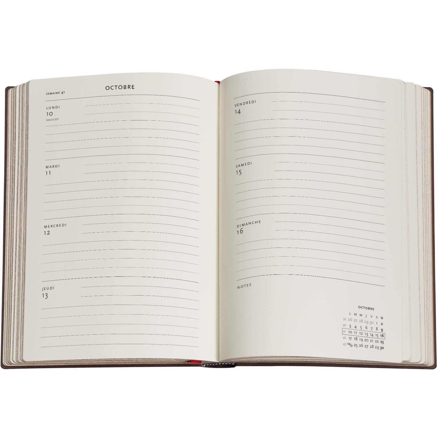 PAPERBLANKS Agenda Grenouille Midi 26/27 DF2028-9 1W/2S 13M FR HOR HC 13x18cm