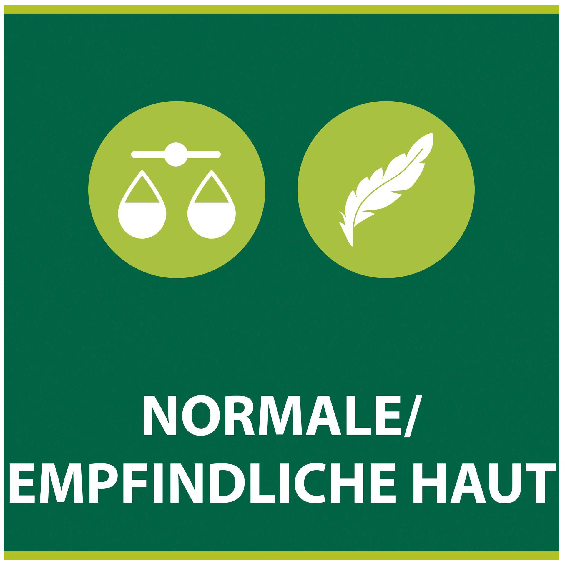 PALMOLIVE Küchen-Handseife 300ml IT05463A